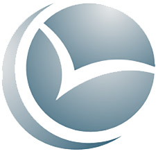 Logo%20Cybevasion
